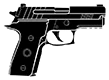 P229