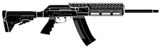 SASG-12